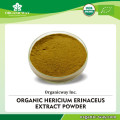 Bulk-supply Organic Lion's Mane Mushroom Powder Hericium Erinaceus Lion's Mane Extract